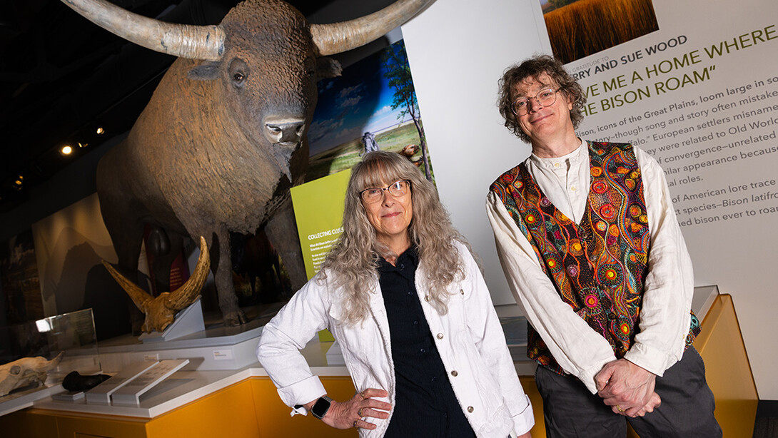 Kate Lyons, associate professor of biological sciences, and Peter Wagner, professor of earth and atmospheric sciences, in front of a statue of a Bison latifrons in Morrill Hall.