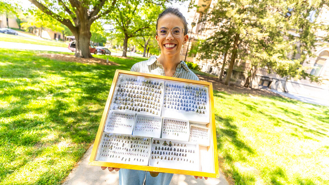 Paige Myers holds an entomology board full of insects