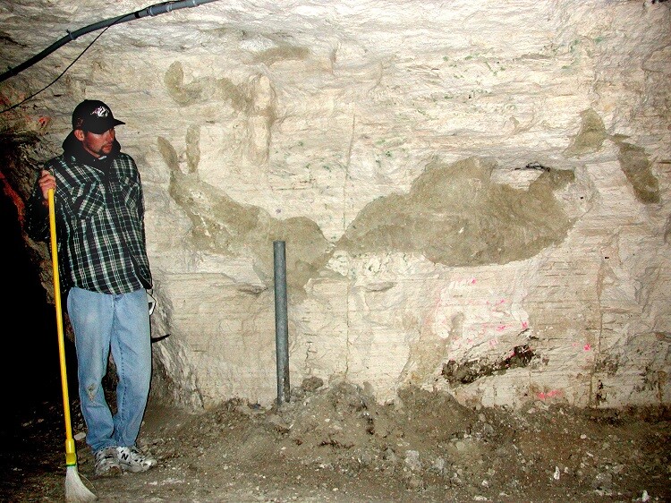 Shane Tucker, NU State Museum highway paleontologist, with the burrow image reconstructed as it would be exposed in the wall of the Happy Jack Chalk Mine. 