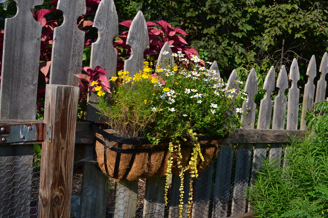 A flower box from the 2022 Omaha Garden Walk. 