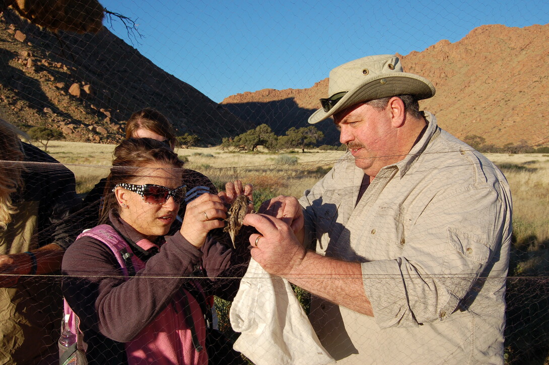 Larkin Powell, professor of wildlife ecology and conservation biology, works with a student to remove a bird from a net as part of an education abroad program in Namibia, Africa.