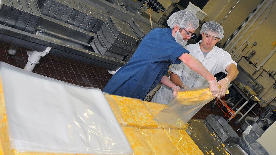 Jonathan Hnosko (left) and Andrew Donovan, a student employee, load a 25-pound block of Husker-N-Gold cheese into a bag that will be vacuum-sealed. The work, completed on Nov. 14, is believed to be the last slice of Dairy Store cheese production that will help fill holiday box orders. Hnosko said 1,000 gallons of milk were made to make the final 800 pound batch of Husker-N-Gold. 