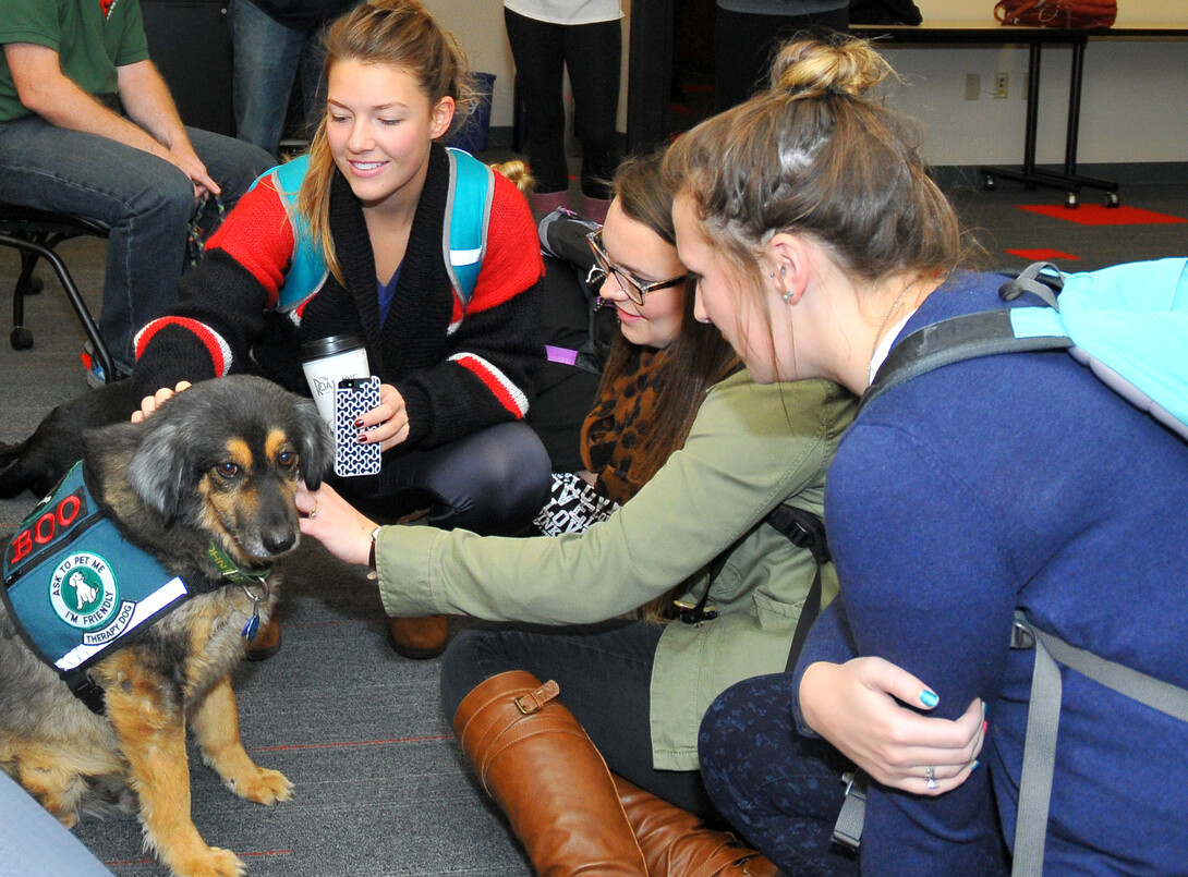 Students pet Boo, a shepherd mix, during the Healing Hearts Therapy Dogs visit in October.