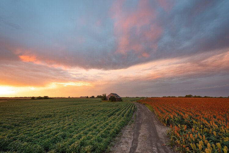 The report features images from Nebraska landscape photographer Erik Johnson like this one captured near Wilber, Nebraska. 