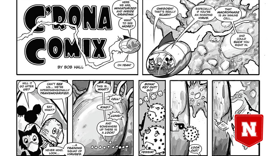 A half-panel of C'Rona Comix shows how a virus enters a host.