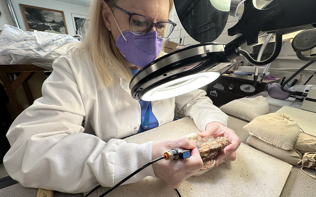 Carrie Herbel preparing a fossil.