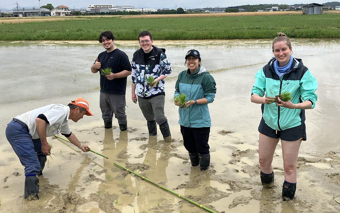 For the first week of the trip, students stayed at Kobe University, where they learned about research in the agricultural sciences. 