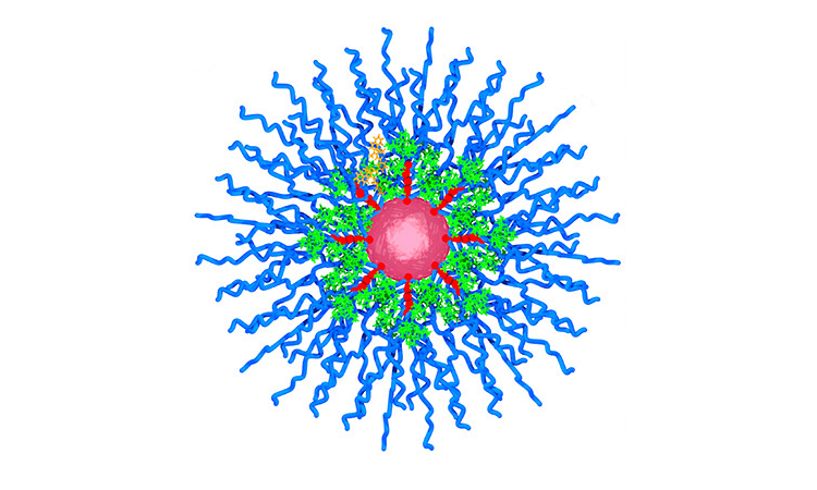 Nanoparticle