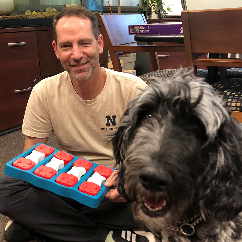 Kenneth Pyle sits in a tan t-shirt holding a blue and red dog puzzle, alsongide River, a black and grey labradoodle.