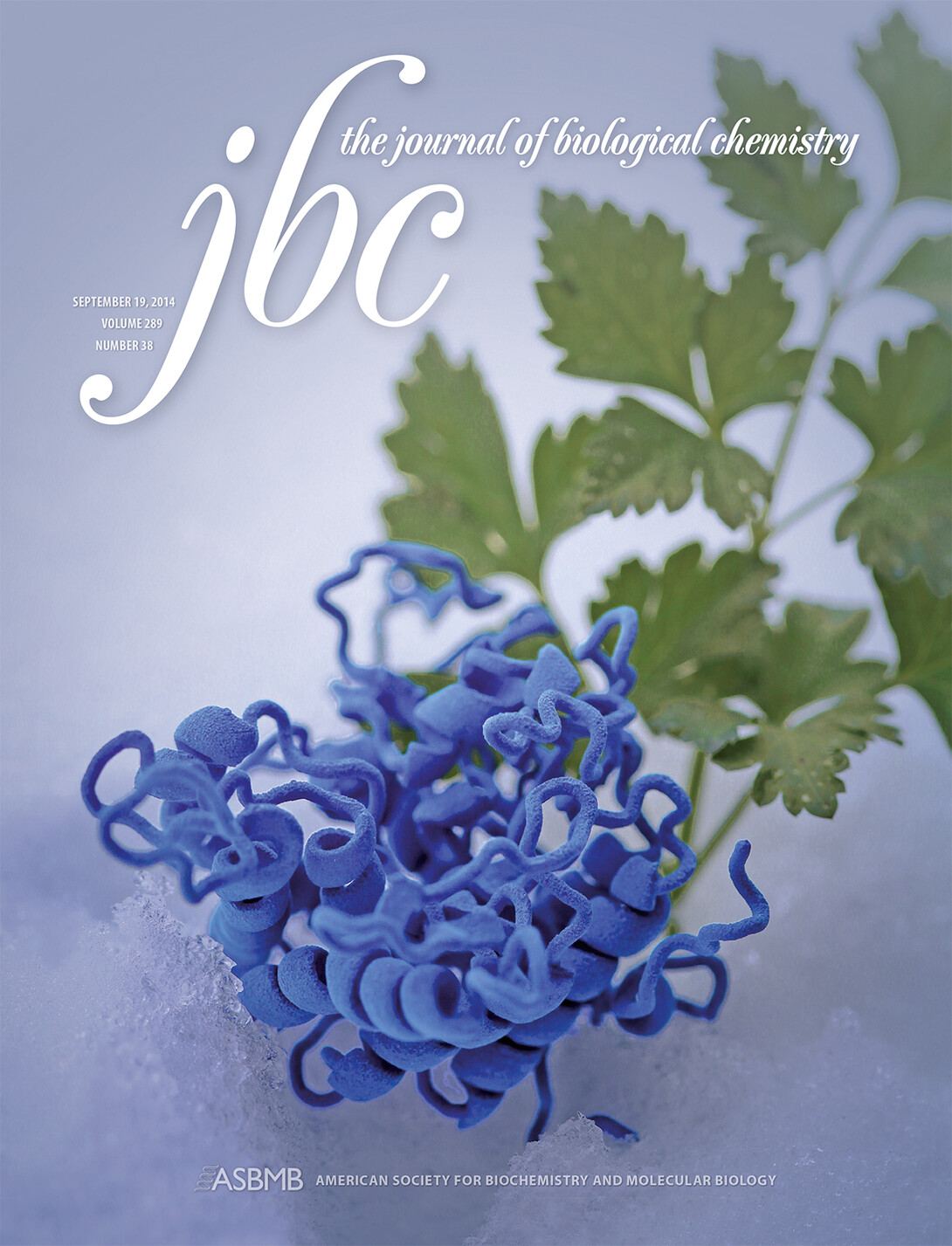 The cover article in the Sept. 19 edition of the Journal of Biological Chemistry features research led by UNL's Rebecca Roston.