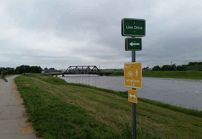 Heavy rains in early June caused water in Salt Creek to rise to near flood stage for a second time this spring.