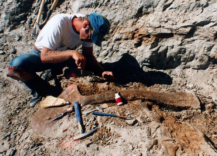 A paleontologist works to uncover Sue, the most complete Tyrannosaurus rex fossil ever discovered. The find is featured in "Dinosaur 13," a documentary showing Nov. 2 on East Campus.