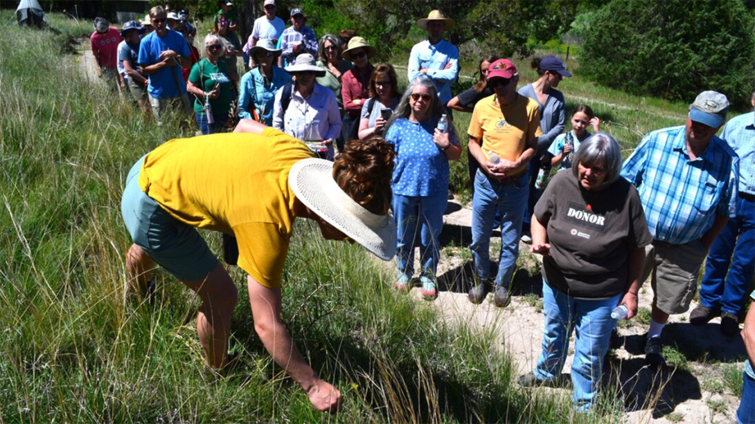 People on a path watch and listen as a member of the Nebraska Statewide Arboretum discusses wildflowers along the way.