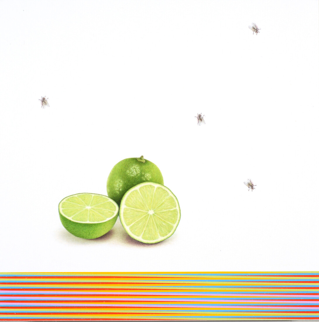 Francisco Souto, Two Limes and Four Flies, 10" x 10", 2018, colored pencils on paper