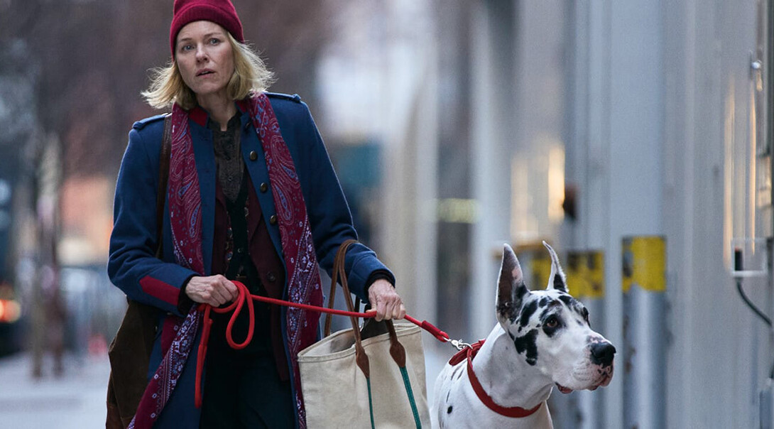 Naomi Watts stars in "The Friend."