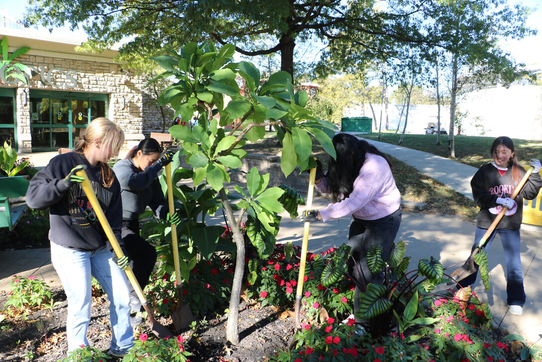 : Zuri Moore, Kiery Hernandez Perez, Tanisha Senapati, and Vy Bui dig up plants to be repotted for the winter at the Kansas City Zoo.