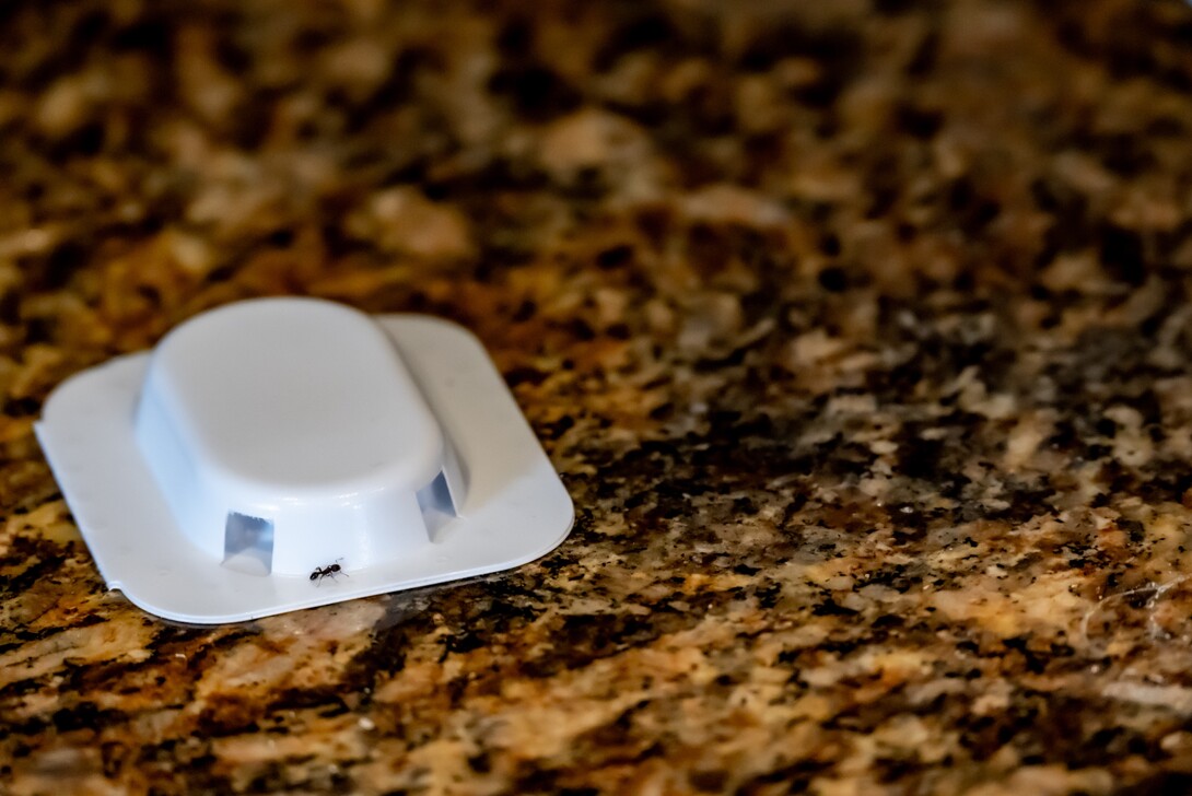 An ant bait station is on a granite countertop.