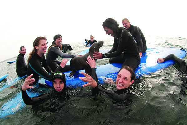 Nebraska students participate in a spring break surfing trip sponsored by Campus Recreation.