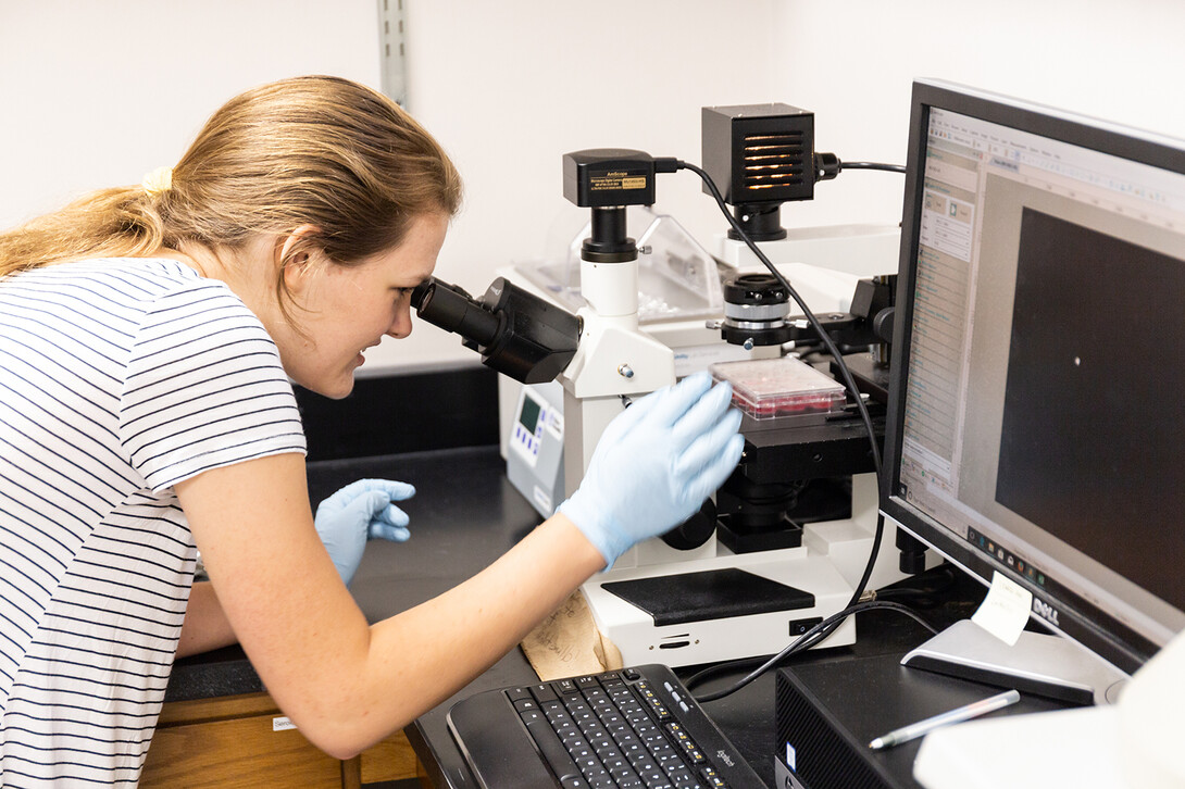 Students gain hands on learning through undergraduate research.