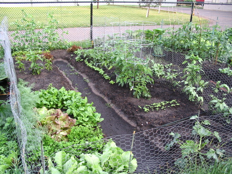 Select a garden plot starting 5:15 p.m. March 28