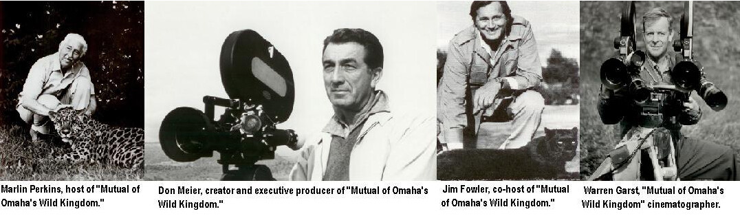 "Exploring the Wild Kingdom"