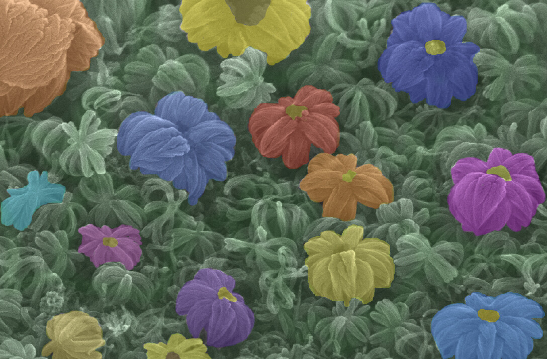 "Nano Garden" by Matt Mitchell