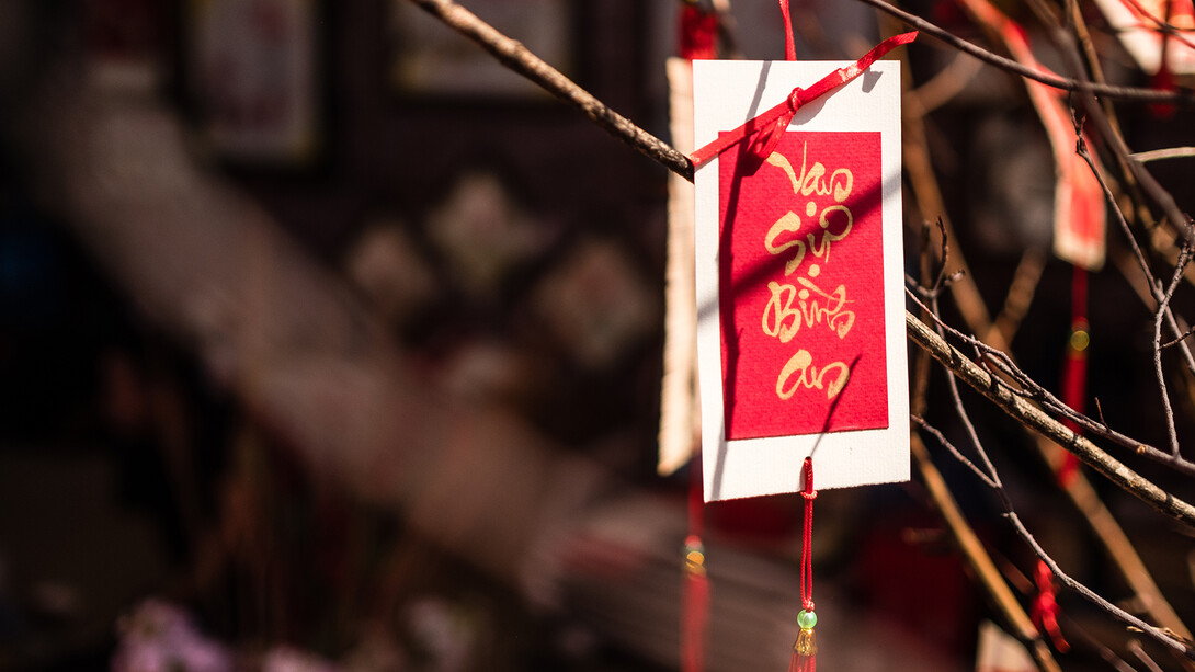 A Lunar New Year decoration hanging in a tree heralds Vietnamese calligraphy that translates to wishes of best luck for all. The Vietnamese Student Association will hold a festival celebrating Vietnamese culture on Feb. 15.