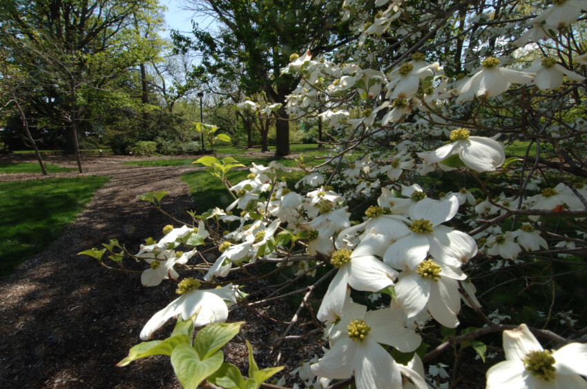 UNL garden tours